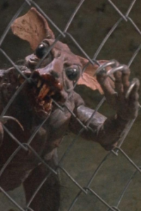 Dead Alive